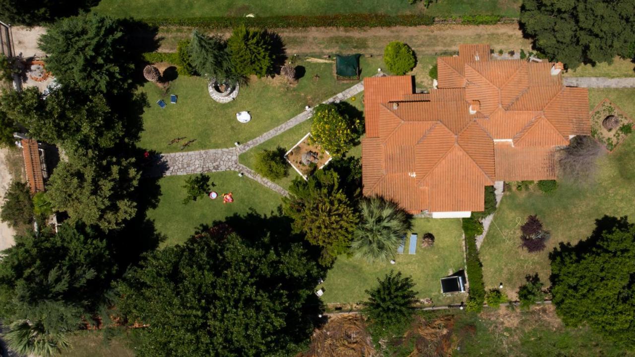 Villa Palmera Ierissós Exteriér fotografie